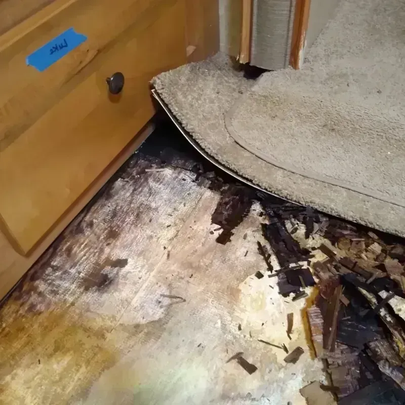 Wood Floor Water Damage in Carpentersville, IL